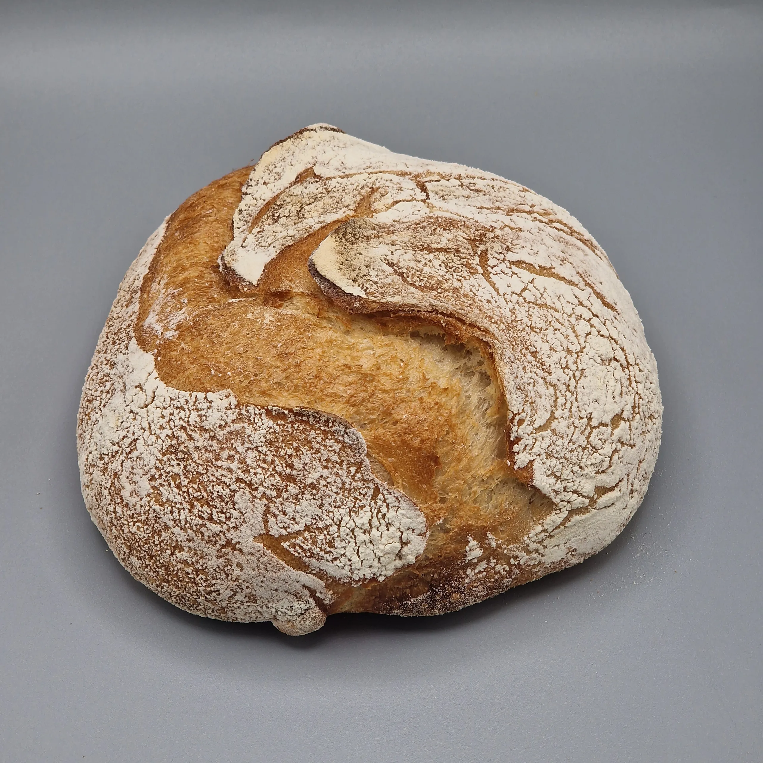Dinkelciabatta