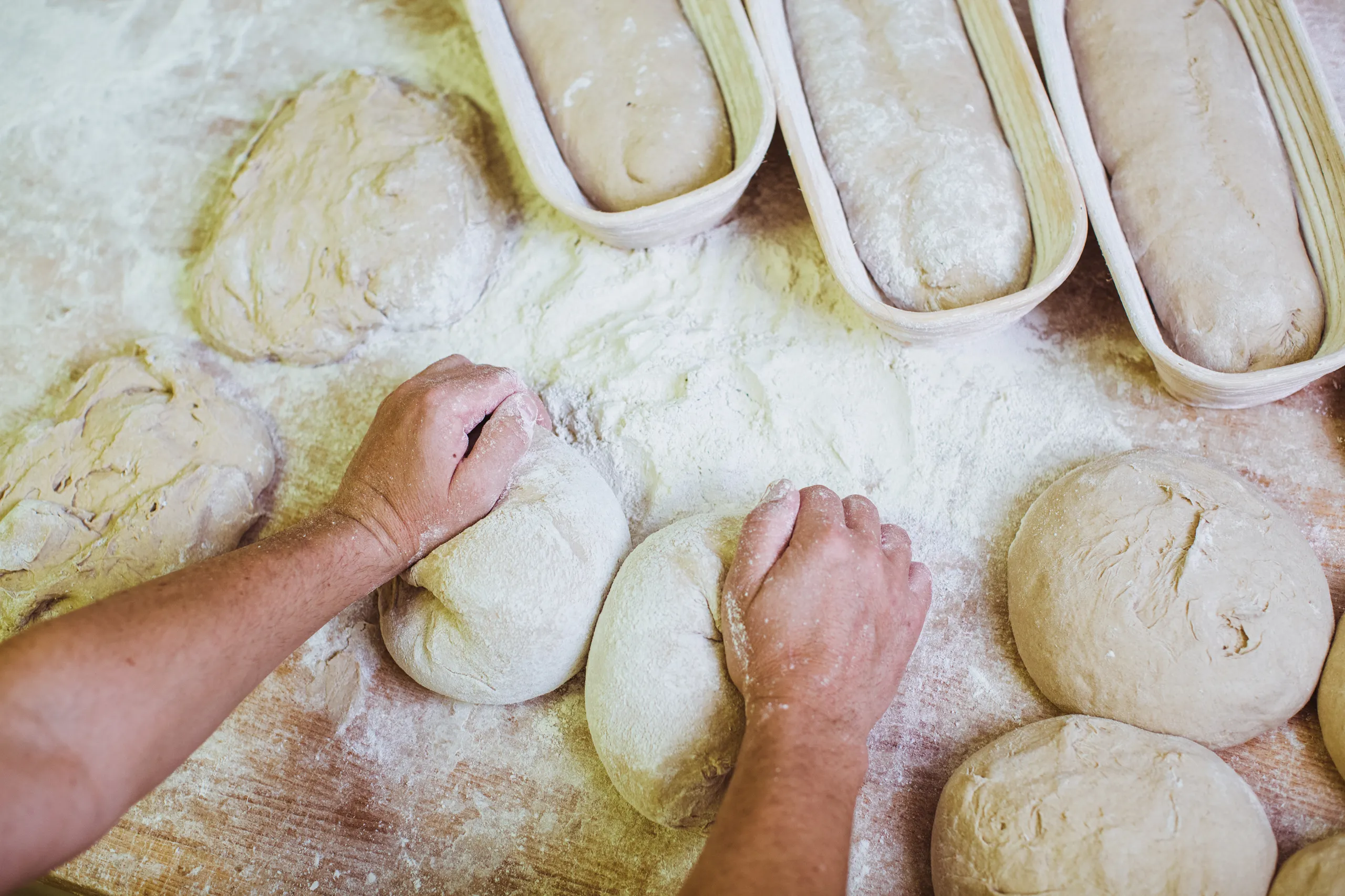 Brot Teigling rundwirken